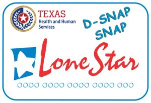 snap benefits houston|Lone Star Card